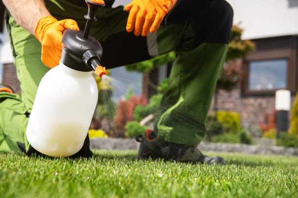 Best Pest Control for Businesses  in Sibley, IA