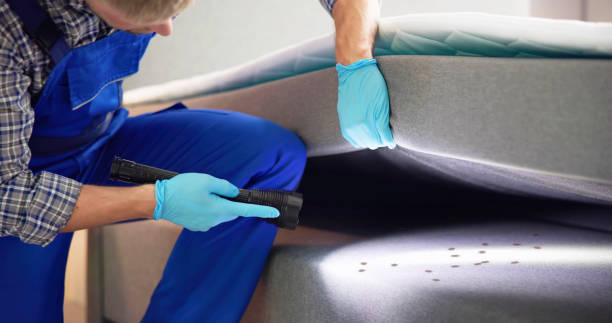 Best Wasp Removal Services  in Sibley, IA
