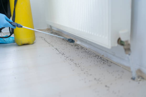 Best Pest Control Near Me  in Sibley, IA