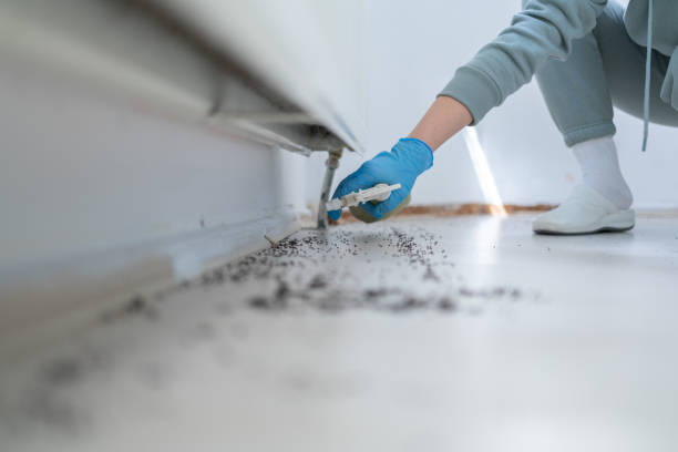 Professional Pest Control in Sibley, IA