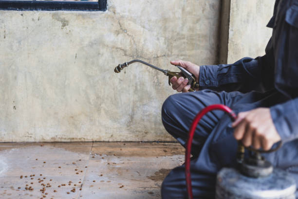 Best Affordable Pest Control Services  in Sibley, IA